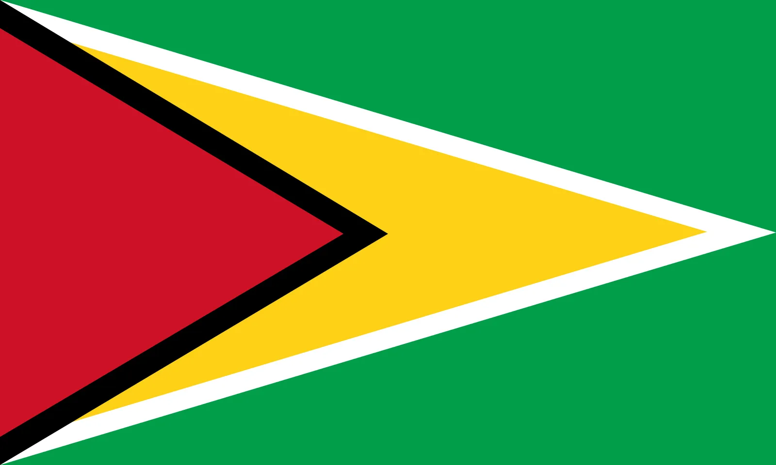 South America (Guyana) flag