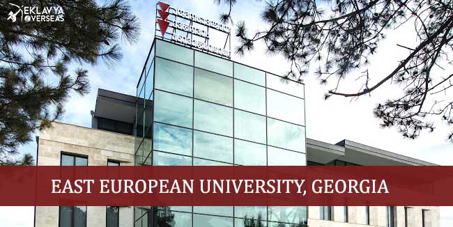 East European University